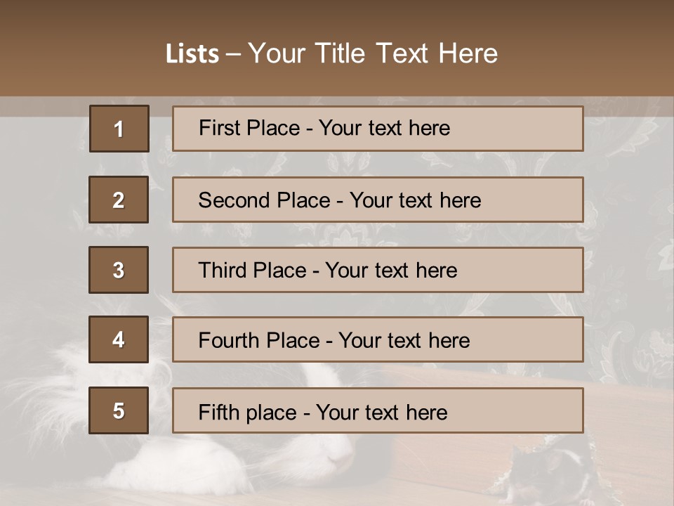 A Cat Laying On The Floor Next To A Mouse PowerPoint Template