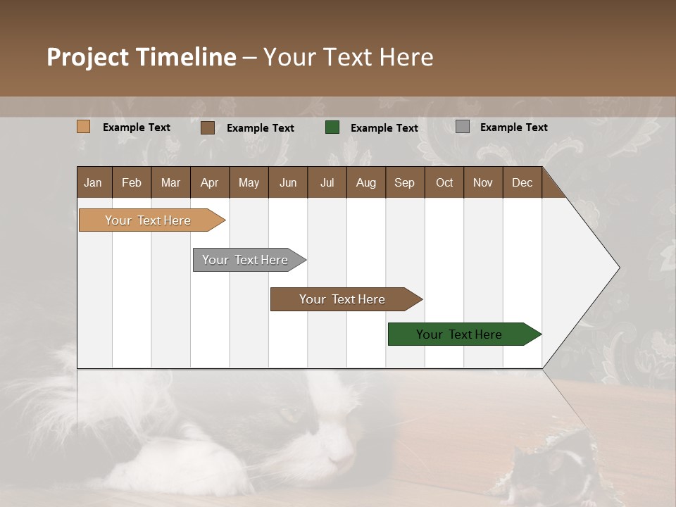 A Cat Laying On The Floor Next To A Mouse PowerPoint Template