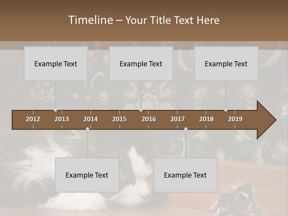 A Cat Laying On The Floor Next To A Mouse PowerPoint Template