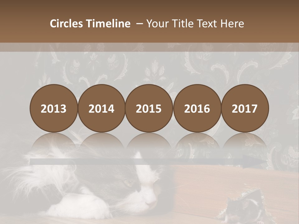 A Cat Laying On The Floor Next To A Mouse PowerPoint Template