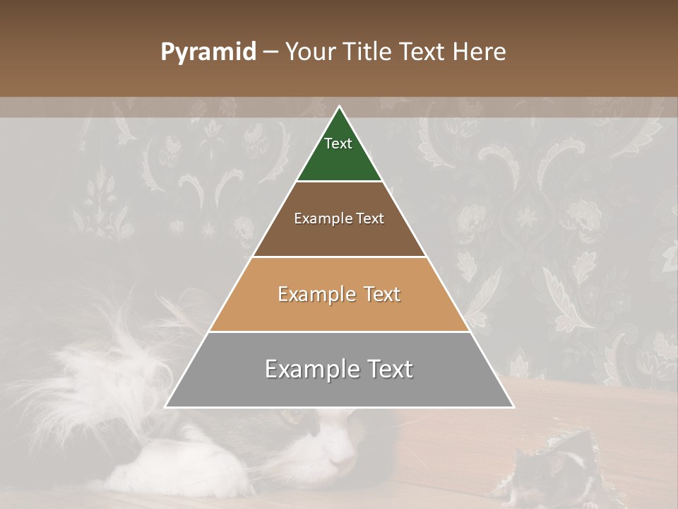 A Cat Laying On The Floor Next To A Mouse PowerPoint Template