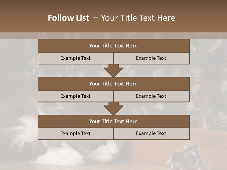 A Cat Laying On The Floor Next To A Mouse PowerPoint Template