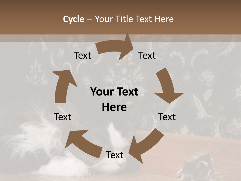 A Cat Laying On The Floor Next To A Mouse PowerPoint Template