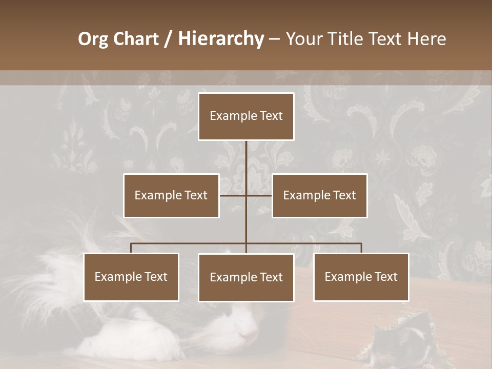 A Cat Laying On The Floor Next To A Mouse PowerPoint Template