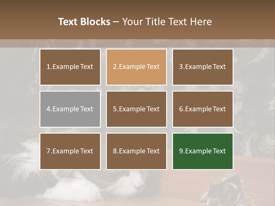 A Cat Laying On The Floor Next To A Mouse PowerPoint Template