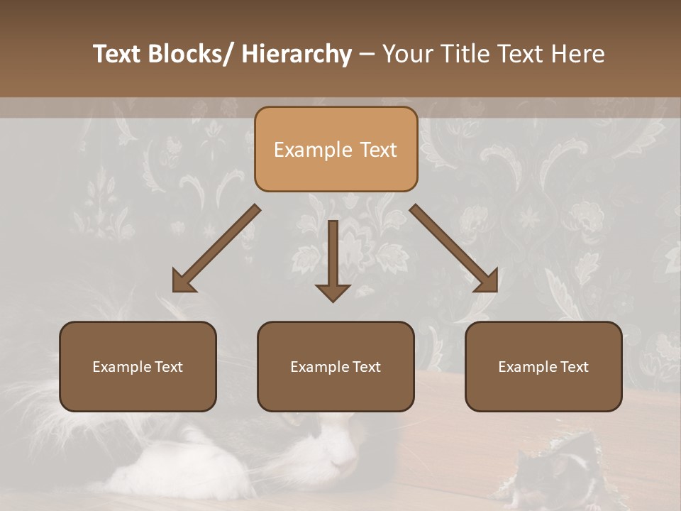A Cat Laying On The Floor Next To A Mouse PowerPoint Template