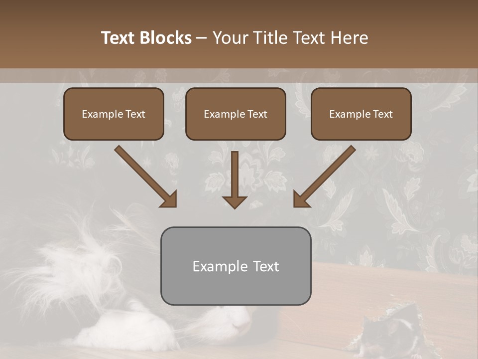 A Cat Laying On The Floor Next To A Mouse PowerPoint Template