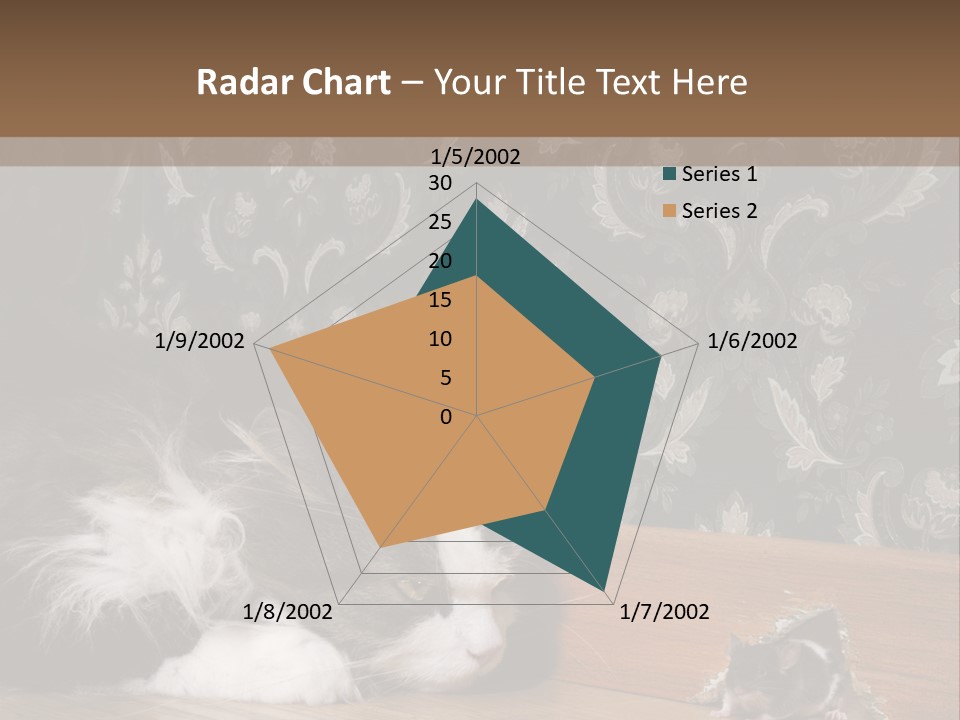 A Cat Laying On The Floor Next To A Mouse PowerPoint Template