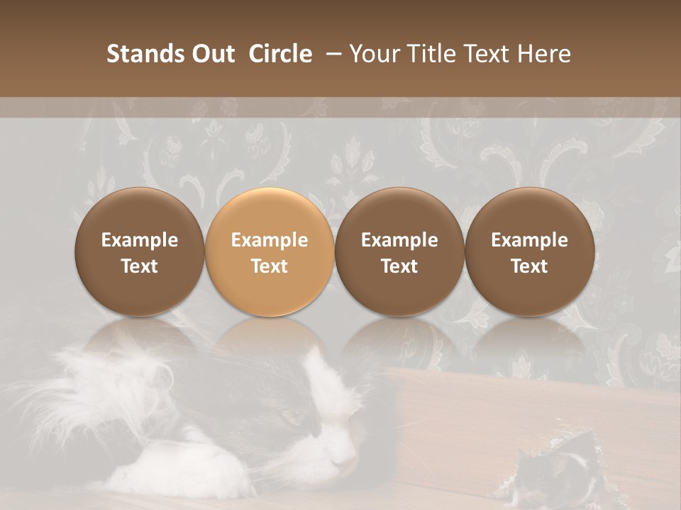 A Cat Laying On The Floor Next To A Mouse PowerPoint Template