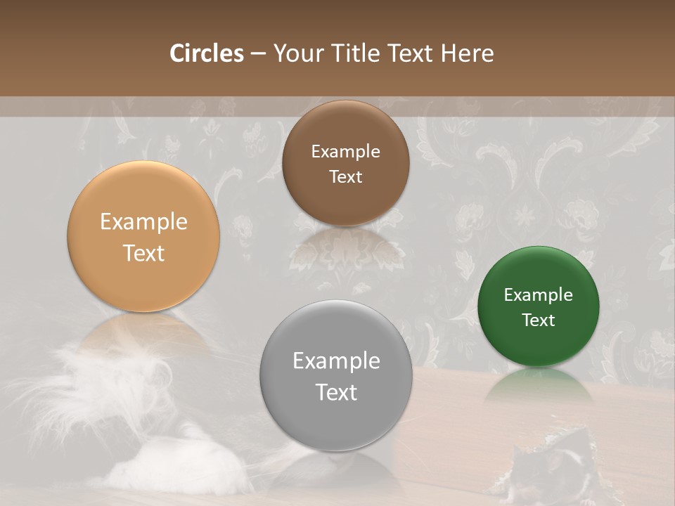 A Cat Laying On The Floor Next To A Mouse PowerPoint Template