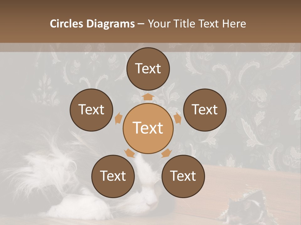 A Cat Laying On The Floor Next To A Mouse PowerPoint Template