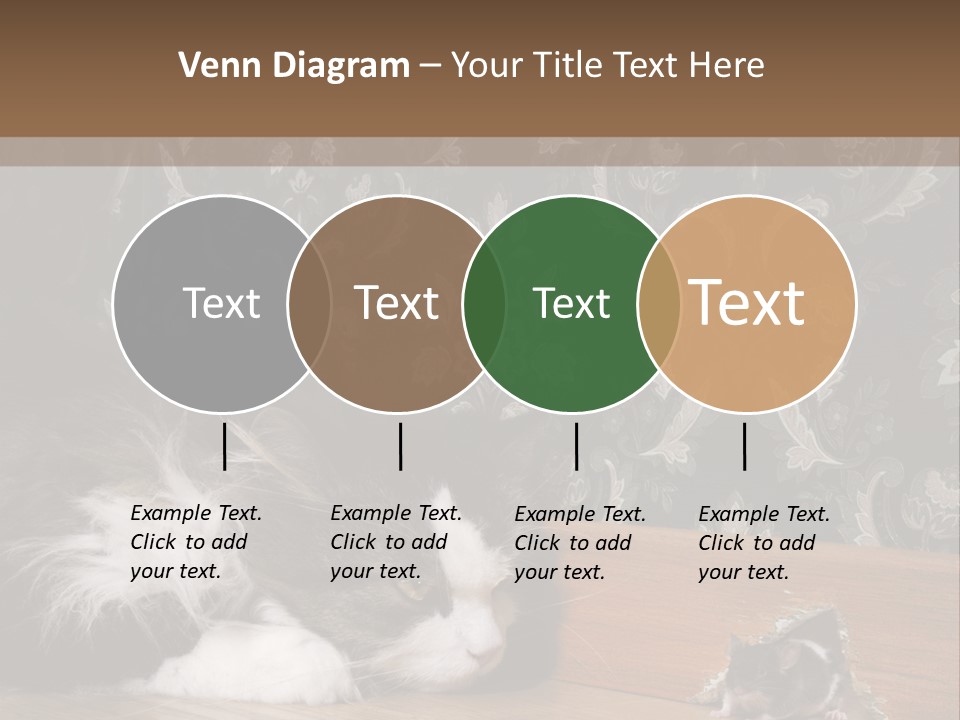 A Cat Laying On The Floor Next To A Mouse PowerPoint Template