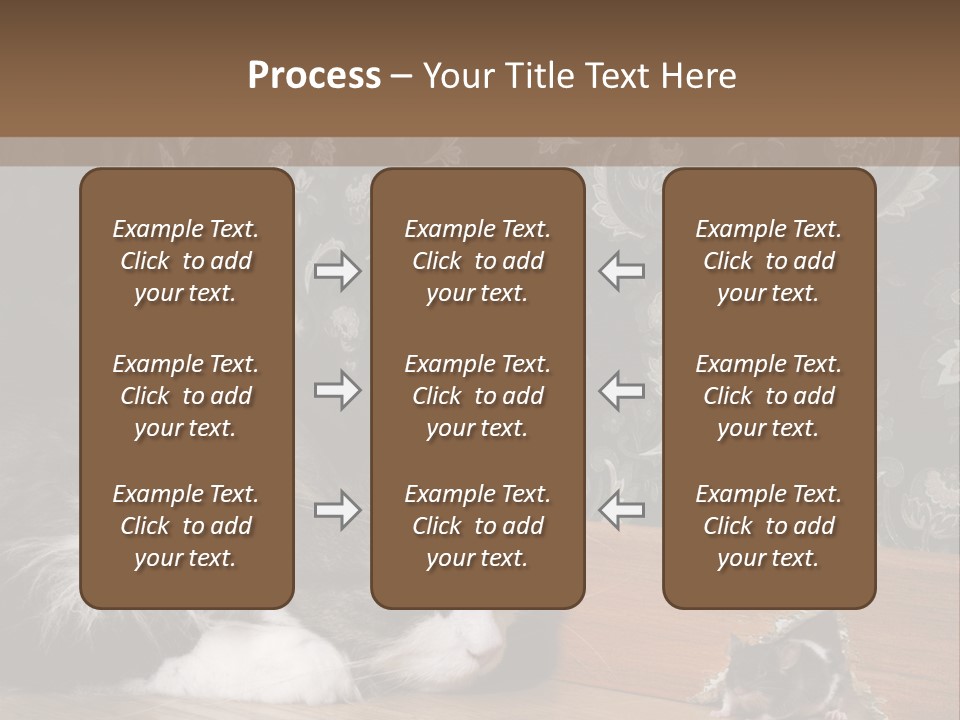 A Cat Laying On The Floor Next To A Mouse PowerPoint Template