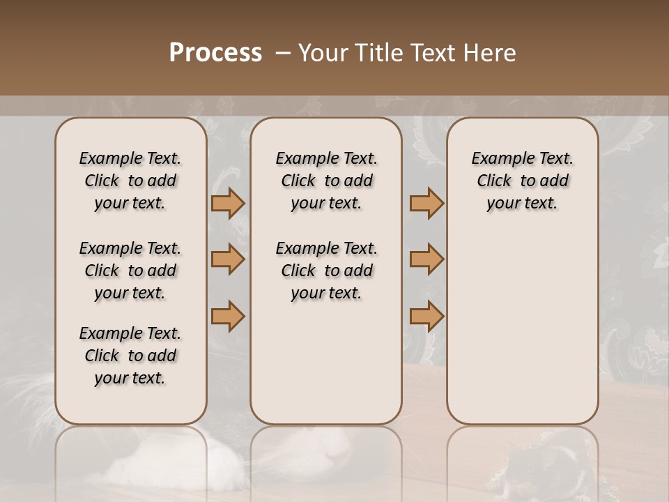 A Cat Laying On The Floor Next To A Mouse PowerPoint Template