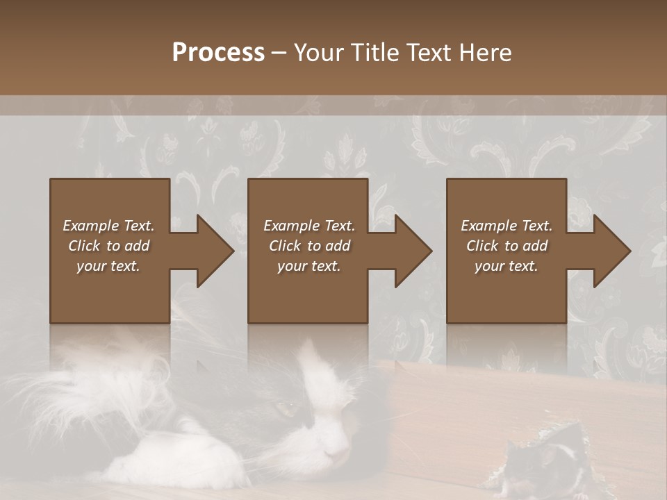A Cat Laying On The Floor Next To A Mouse PowerPoint Template