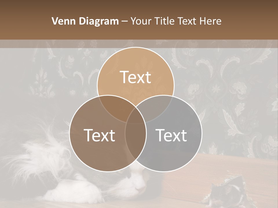 A Cat Laying On The Floor Next To A Mouse PowerPoint Template