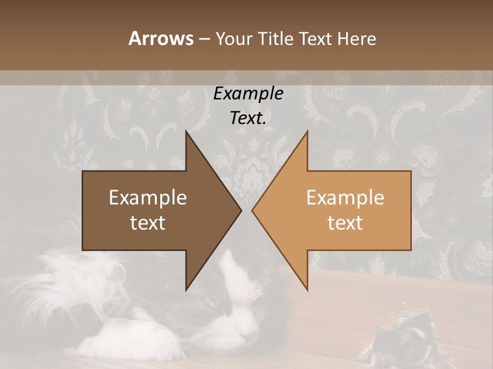 A Cat Laying On The Floor Next To A Mouse PowerPoint Template