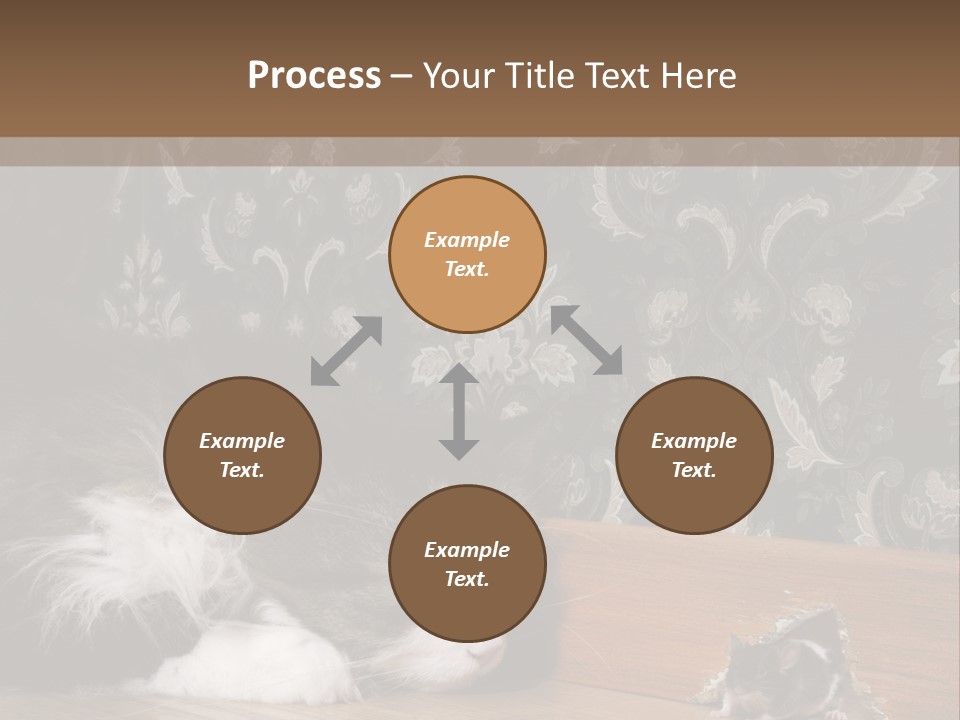 A Cat Laying On The Floor Next To A Mouse PowerPoint Template