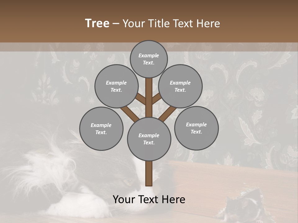 A Cat Laying On The Floor Next To A Mouse PowerPoint Template