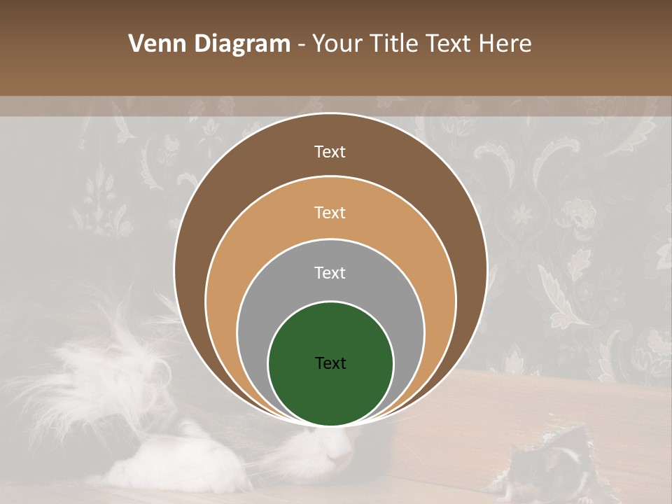 A Cat Laying On The Floor Next To A Mouse PowerPoint Template