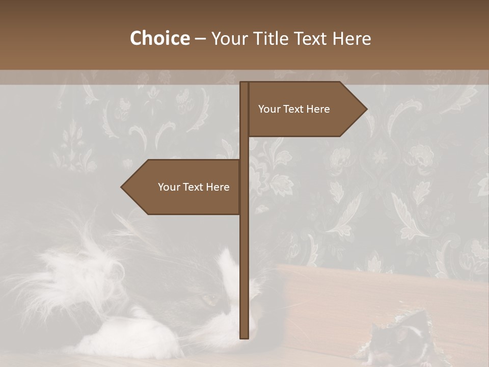 A Cat Laying On The Floor Next To A Mouse PowerPoint Template