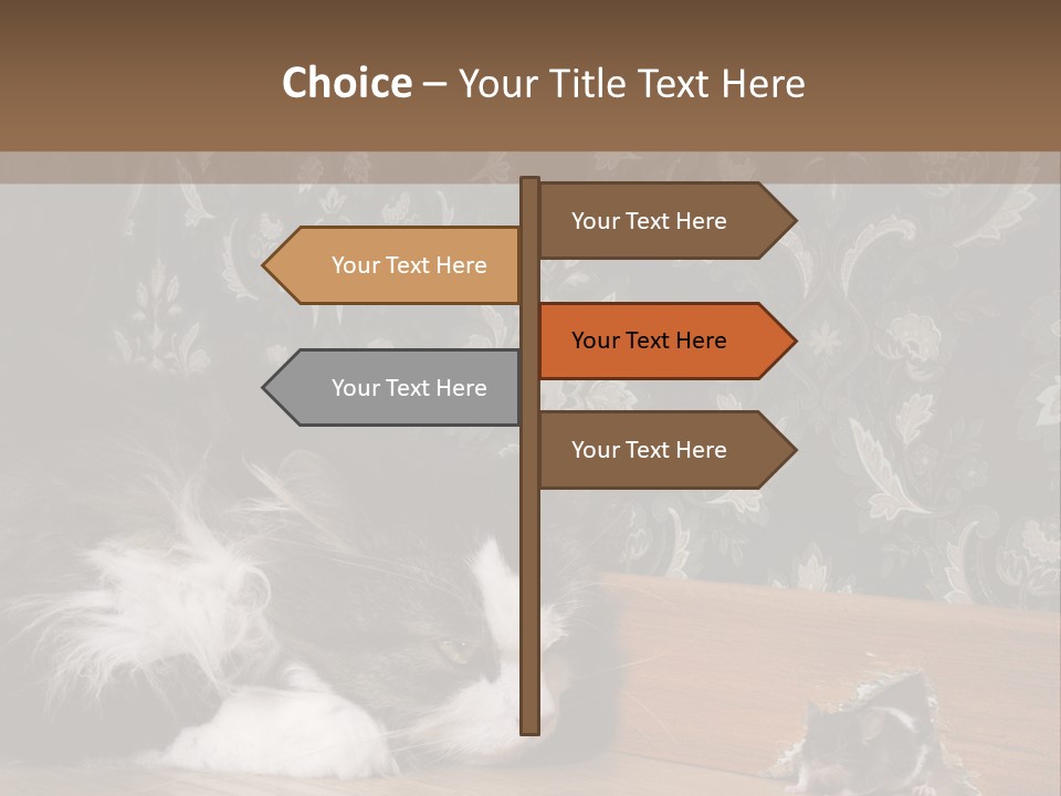 A Cat Laying On The Floor Next To A Mouse PowerPoint Template