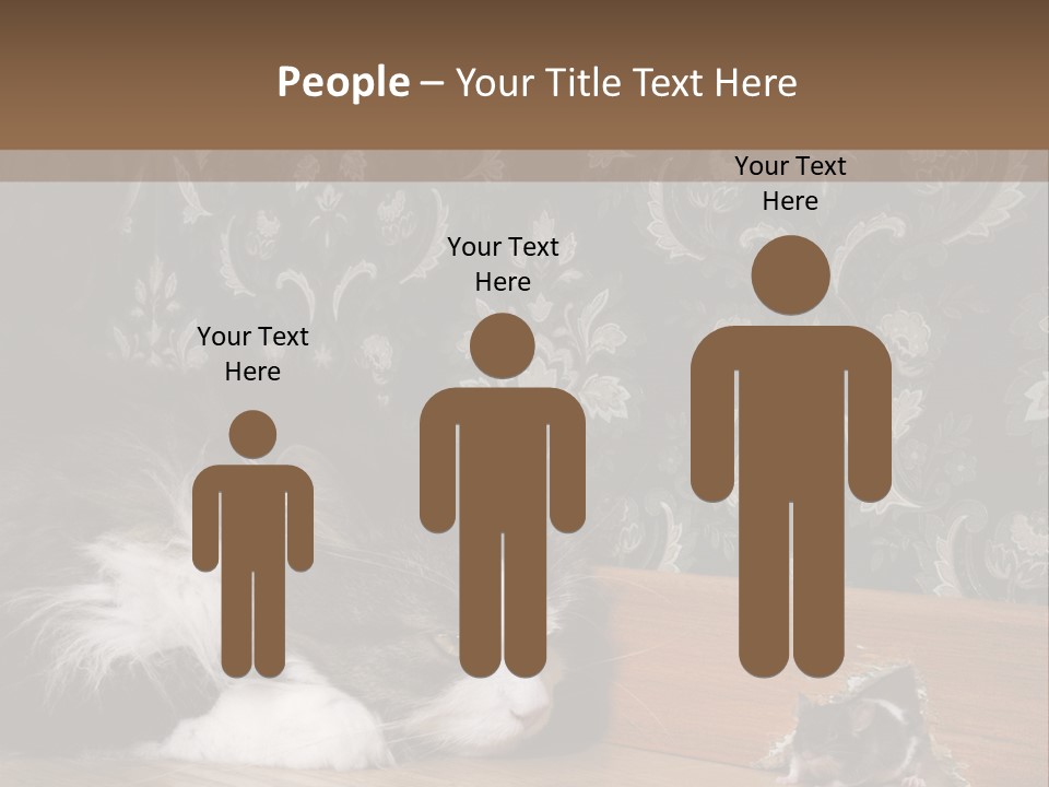 A Cat Laying On The Floor Next To A Mouse PowerPoint Template