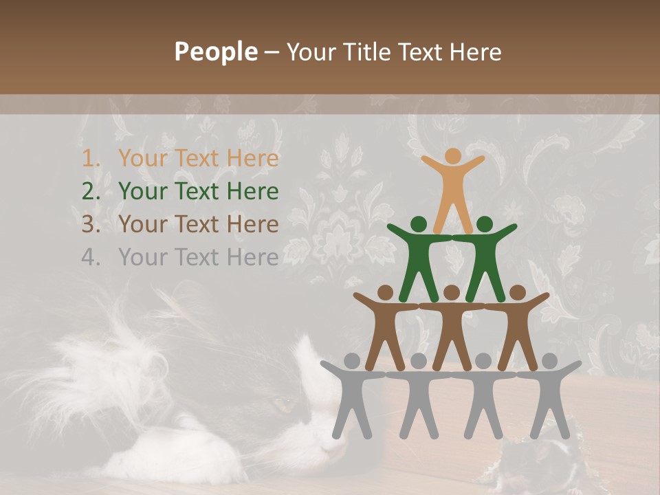 A Cat Laying On The Floor Next To A Mouse PowerPoint Template