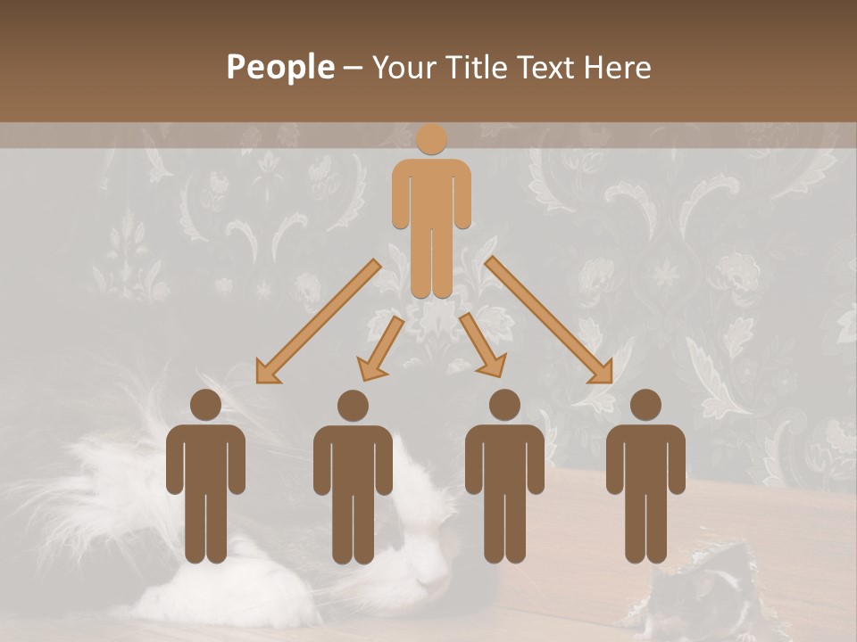 A Cat Laying On The Floor Next To A Mouse PowerPoint Template