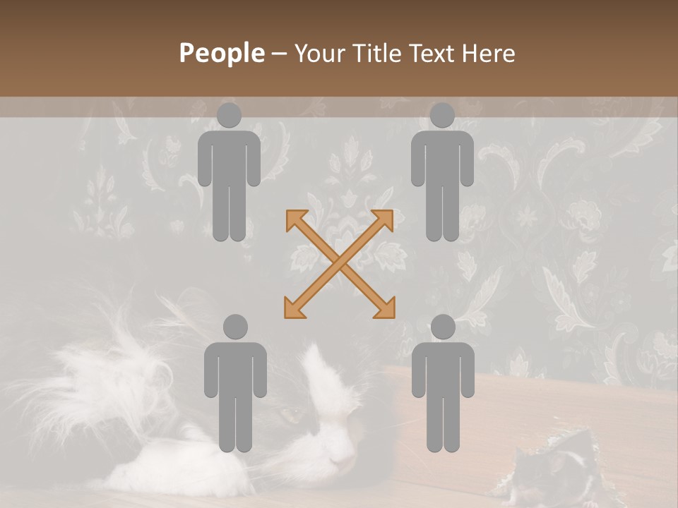 A Cat Laying On The Floor Next To A Mouse PowerPoint Template