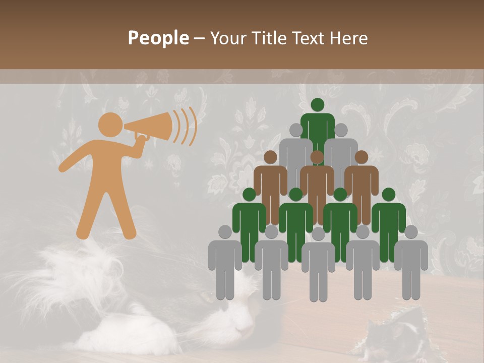 A Cat Laying On The Floor Next To A Mouse PowerPoint Template