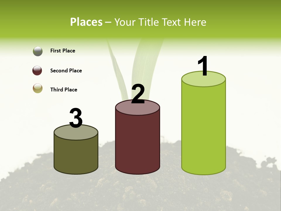 Corn Sprout In Soil PowerPoint Template