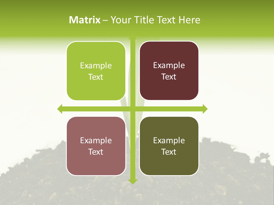 Corn Sprout In Soil PowerPoint Template