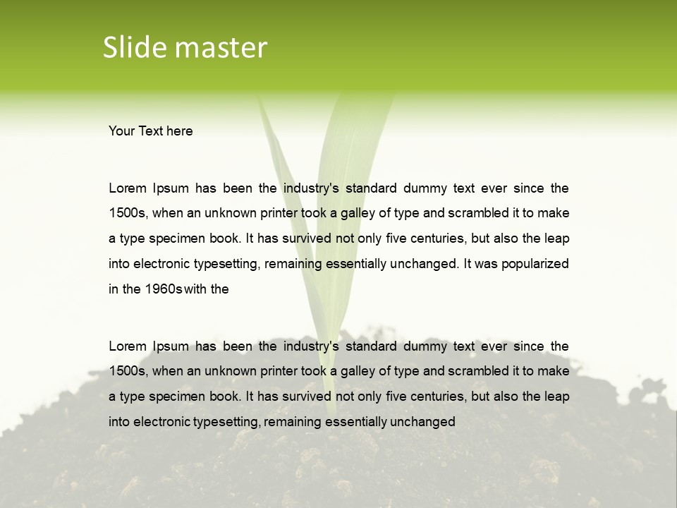 Corn Sprout In Soil PowerPoint Template
