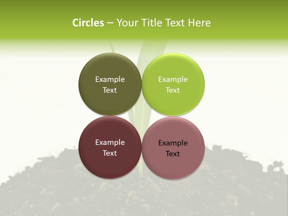 Corn Sprout In Soil PowerPoint Template