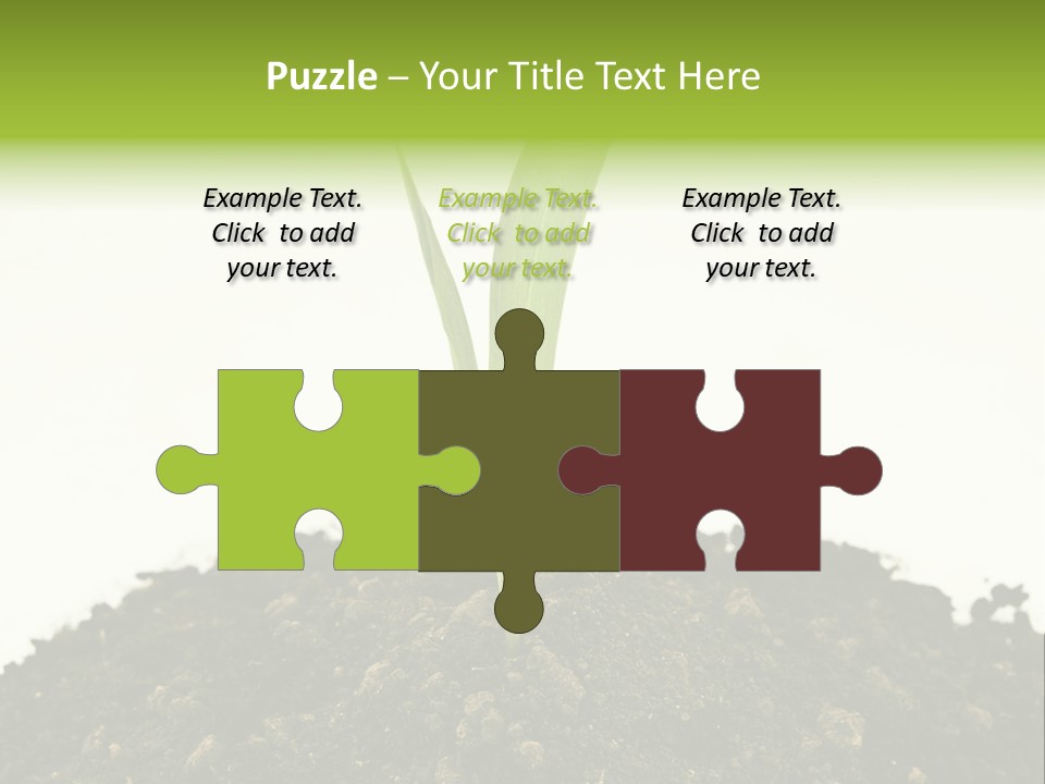 Corn Sprout In Soil PowerPoint Template