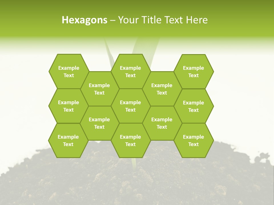 Corn Sprout In Soil PowerPoint Template