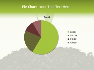 Corn Sprout In Soil PowerPoint Template