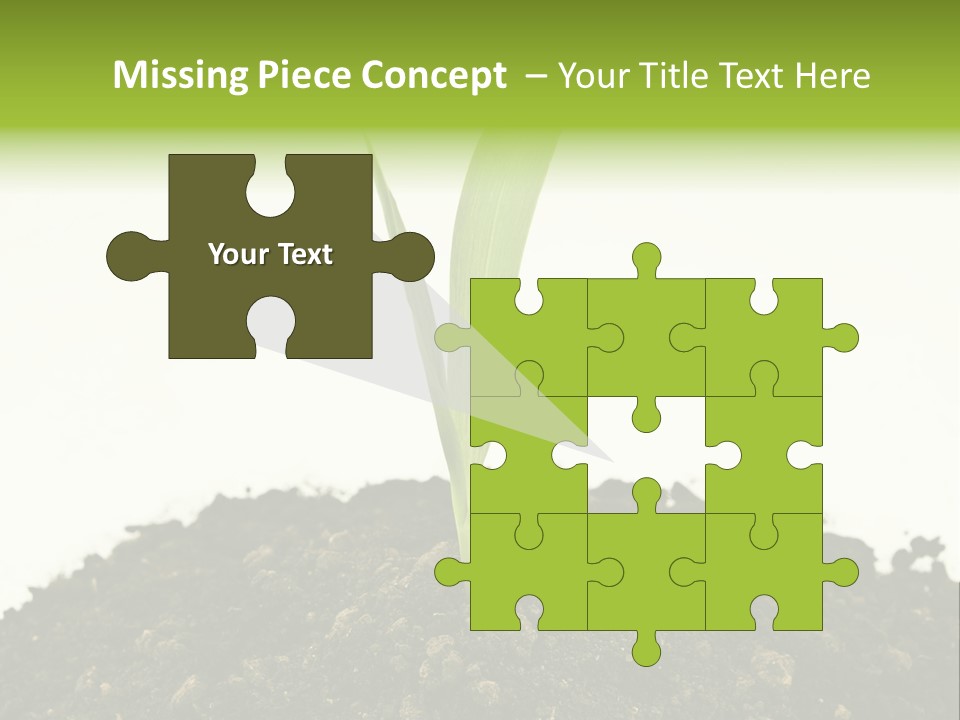 Corn Sprout In Soil PowerPoint Template