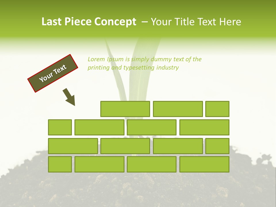 Corn Sprout In Soil PowerPoint Template