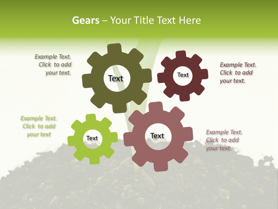 Corn Sprout In Soil PowerPoint Template