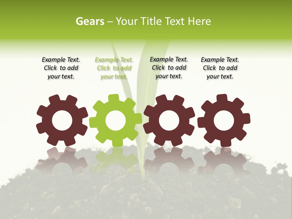 Corn Sprout In Soil PowerPoint Template