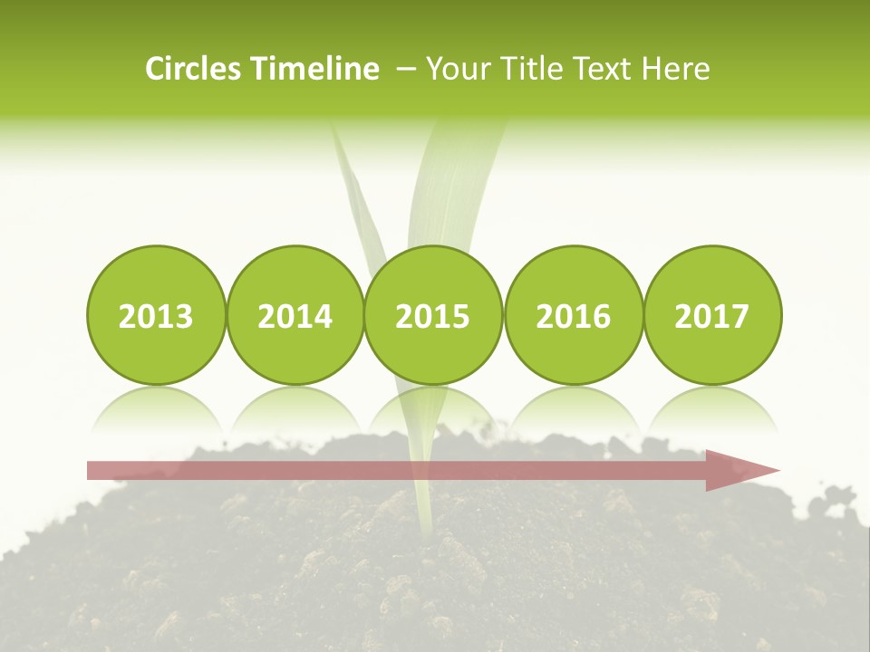 Corn Sprout In Soil PowerPoint Template