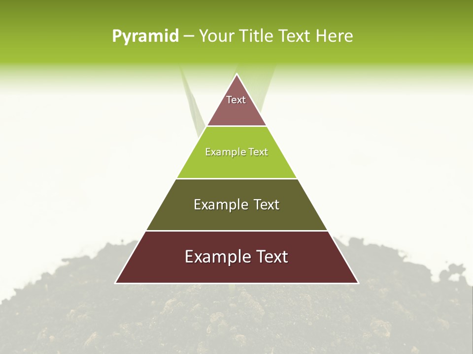 Corn Sprout In Soil PowerPoint Template
