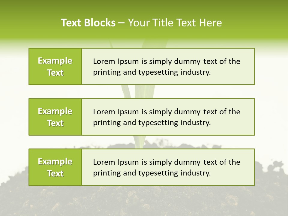Corn Sprout In Soil PowerPoint Template