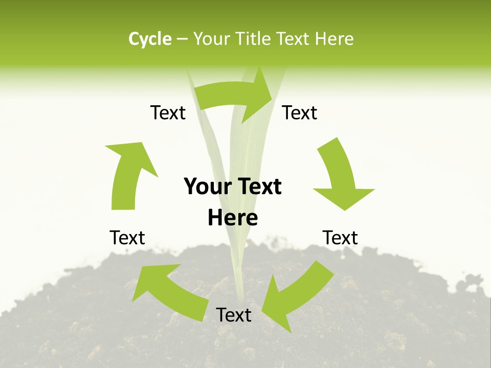 Corn Sprout In Soil PowerPoint Template