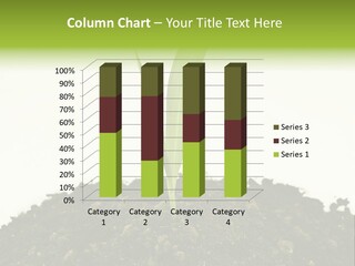 Corn Sprout In Soil PowerPoint Template