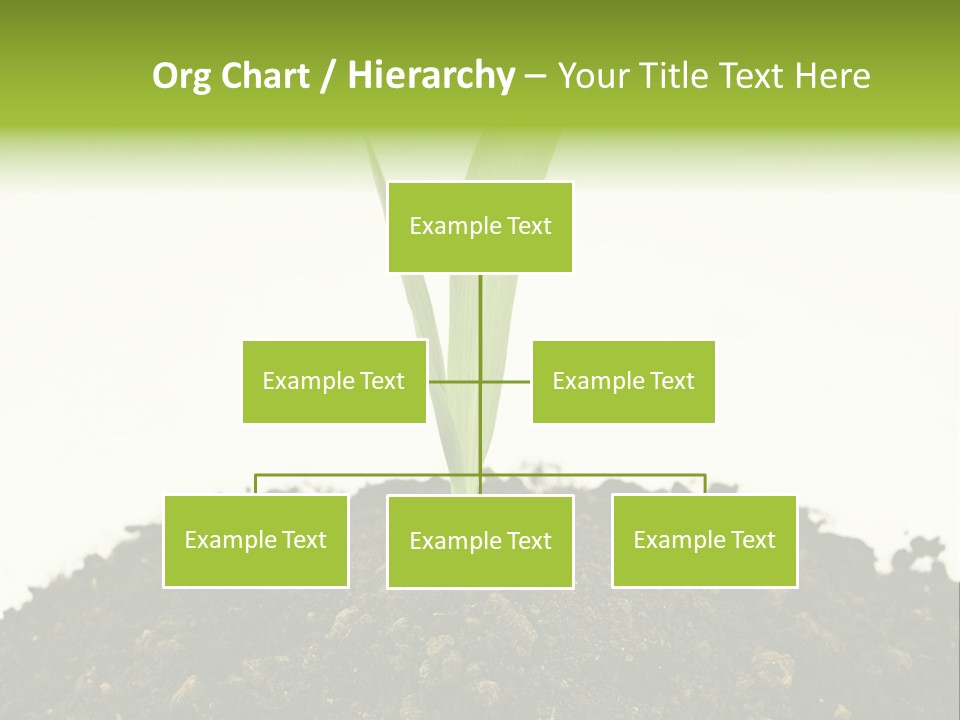 Corn Sprout In Soil PowerPoint Template