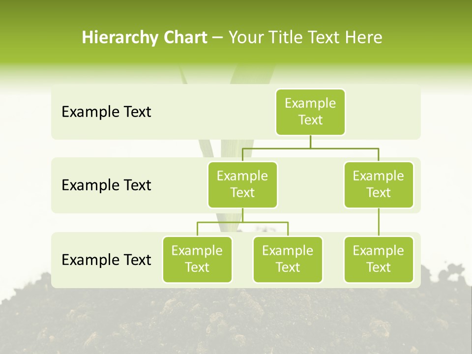Corn Sprout In Soil PowerPoint Template