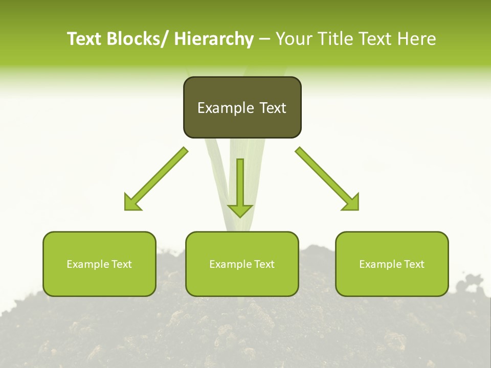 Corn Sprout In Soil PowerPoint Template